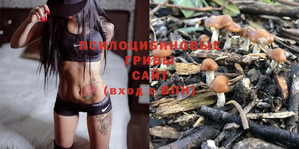 соль ск Наволоки