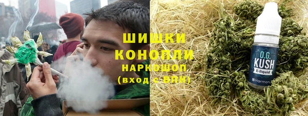 МДПВ Михайлов