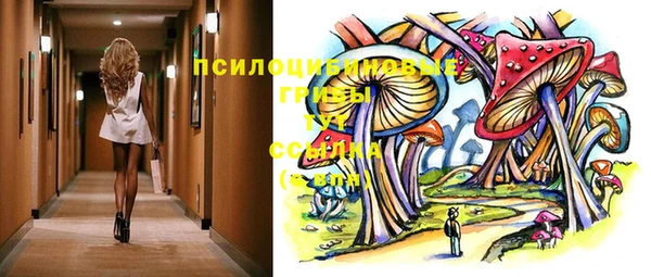 сатива Михайловск