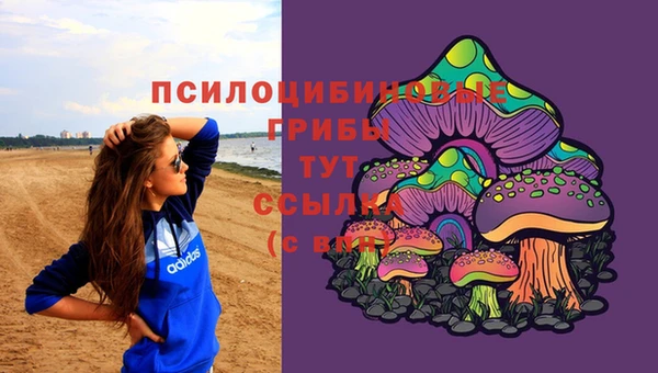 ешки Навашино