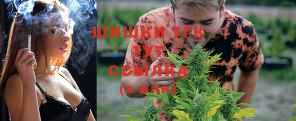 МДПВ Михайлов