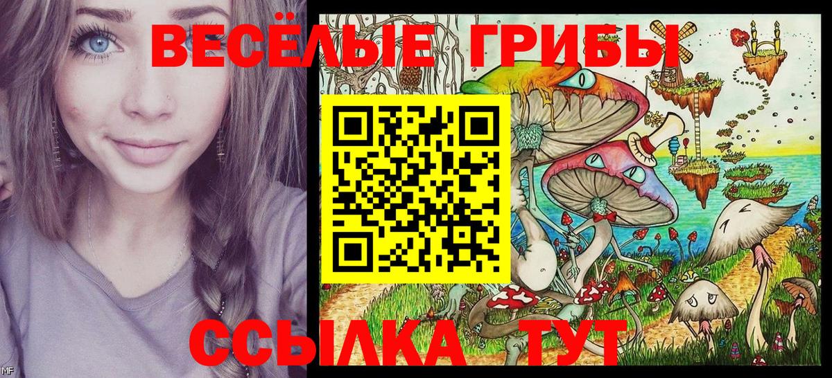 Псилоцибиновые грибы ЛСД  Серпухов  купить наркоту  Псилоцибиновые грибы GOLDEN TEACHER 